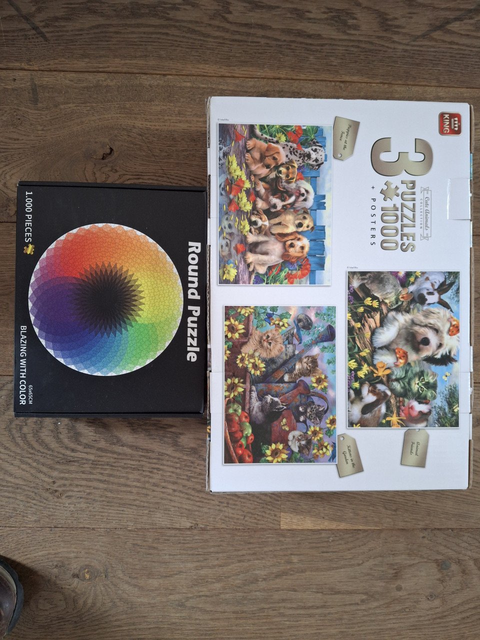 Puzzels WASGIJ en Van HAASTEREN en nog anderen