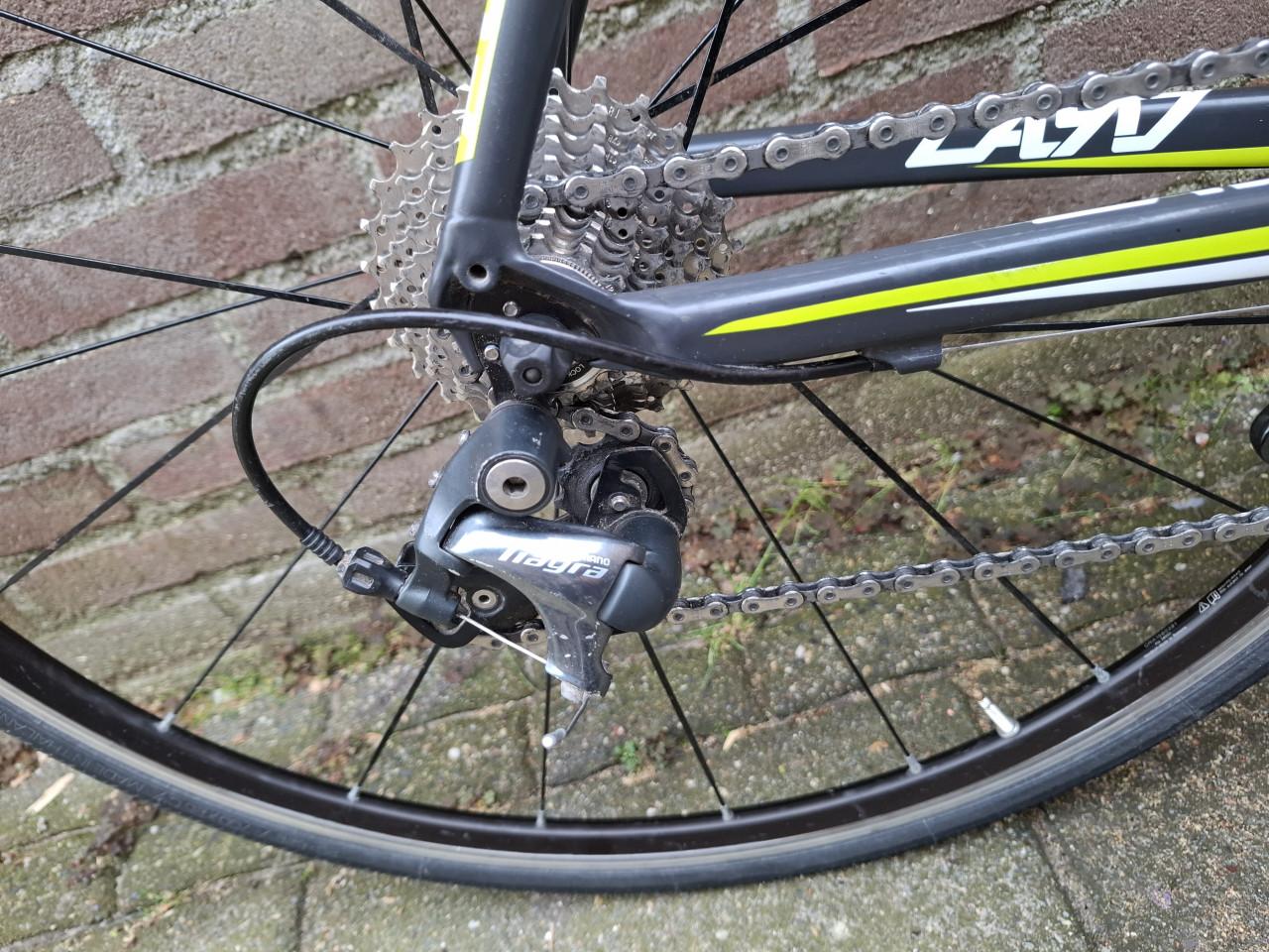 Focus Cayo AL Racefiets (L) - Shimano Tiagra - Mavic Aksium