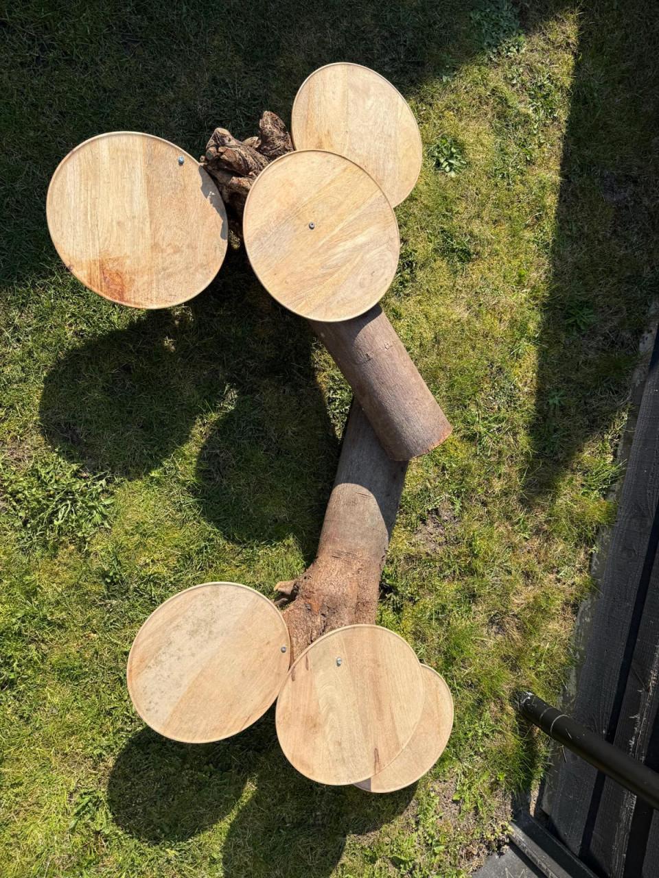 Unieke boomstam etagère - perfect voor bruiloft of feesten