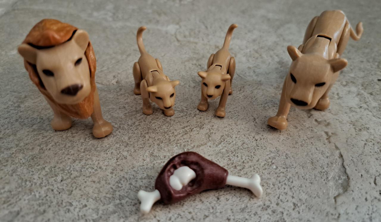 Playmobil dierenpark | dierentuin (My Life) + extra dieren