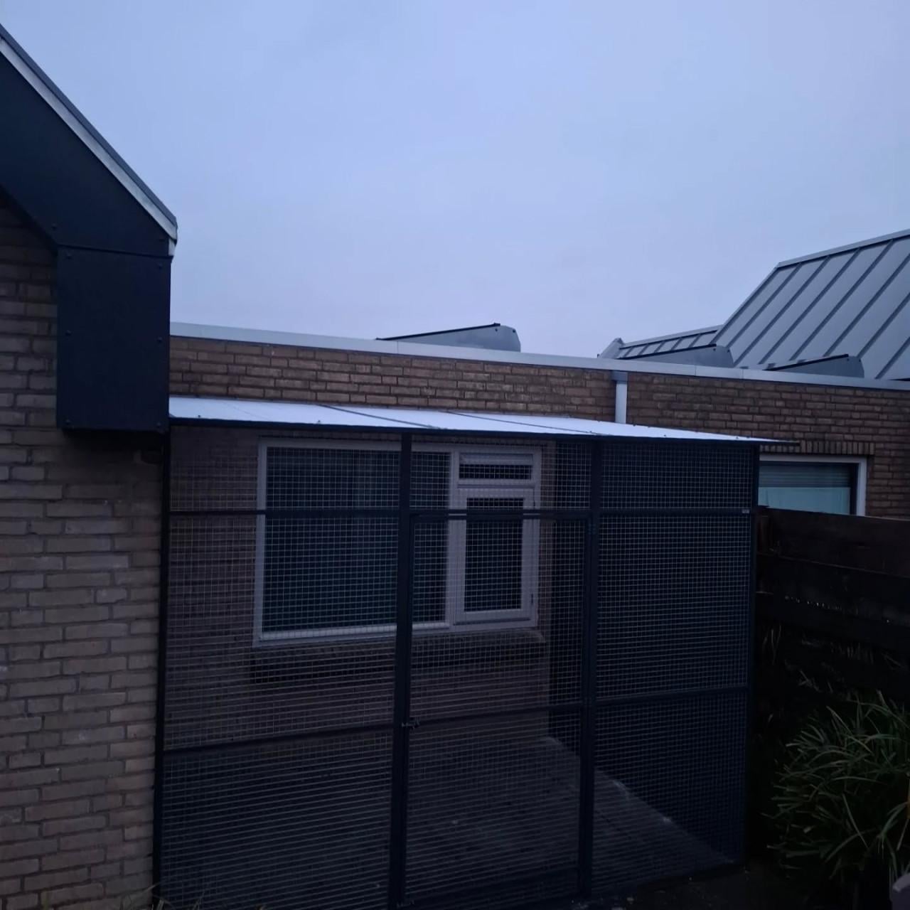 Kattenrennen in elke gewenste maat.....