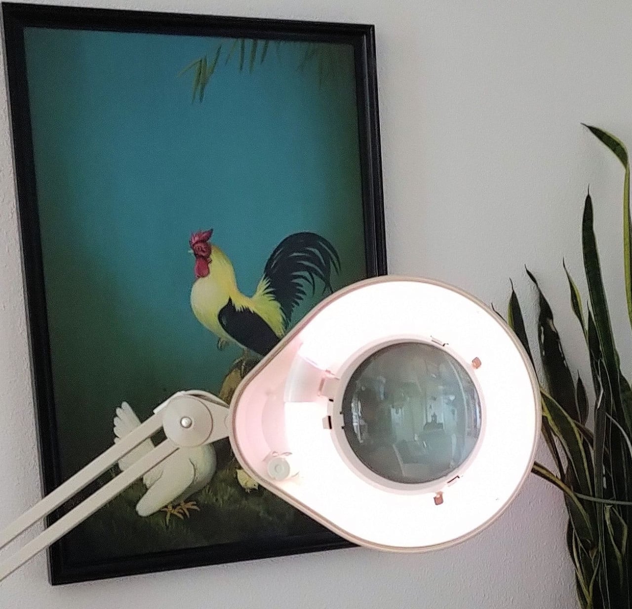 Luxo Loep met licht en afdekklep. Lens 12 cm, loeplamp