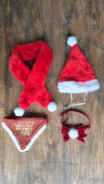 😻 Katten Kerst accessoires.