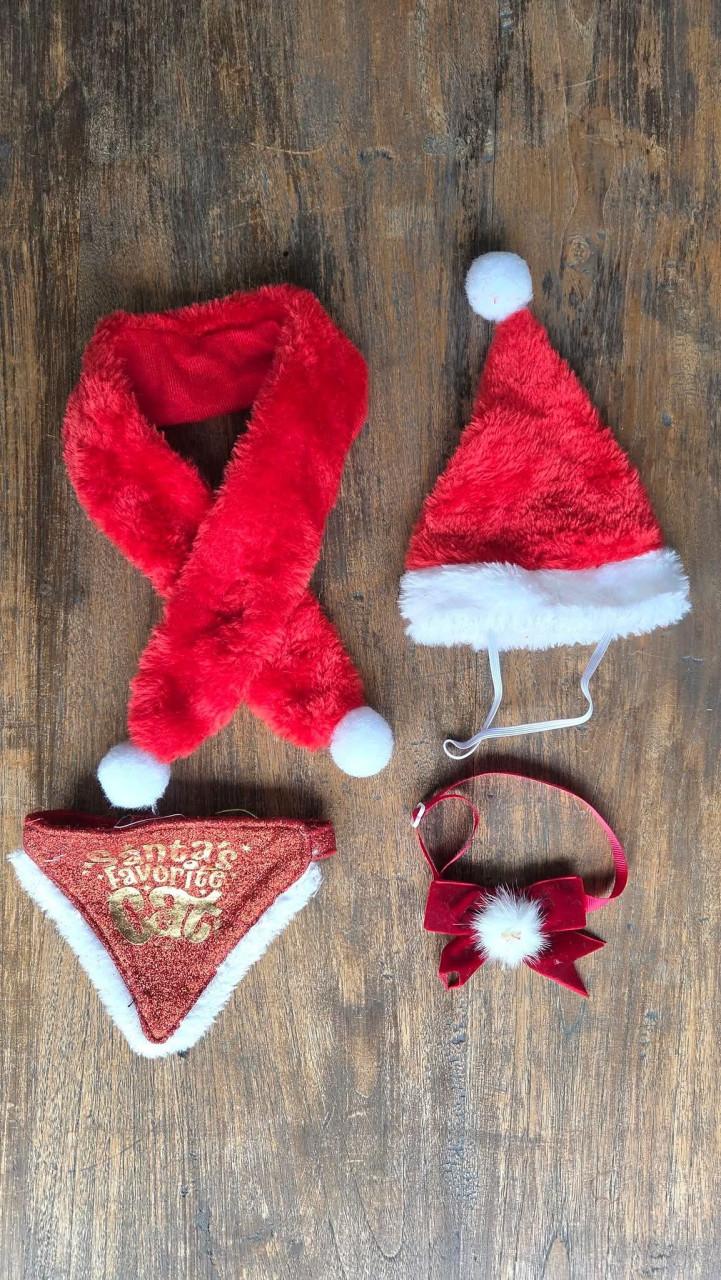 😻 Katten Kerst accessoires.