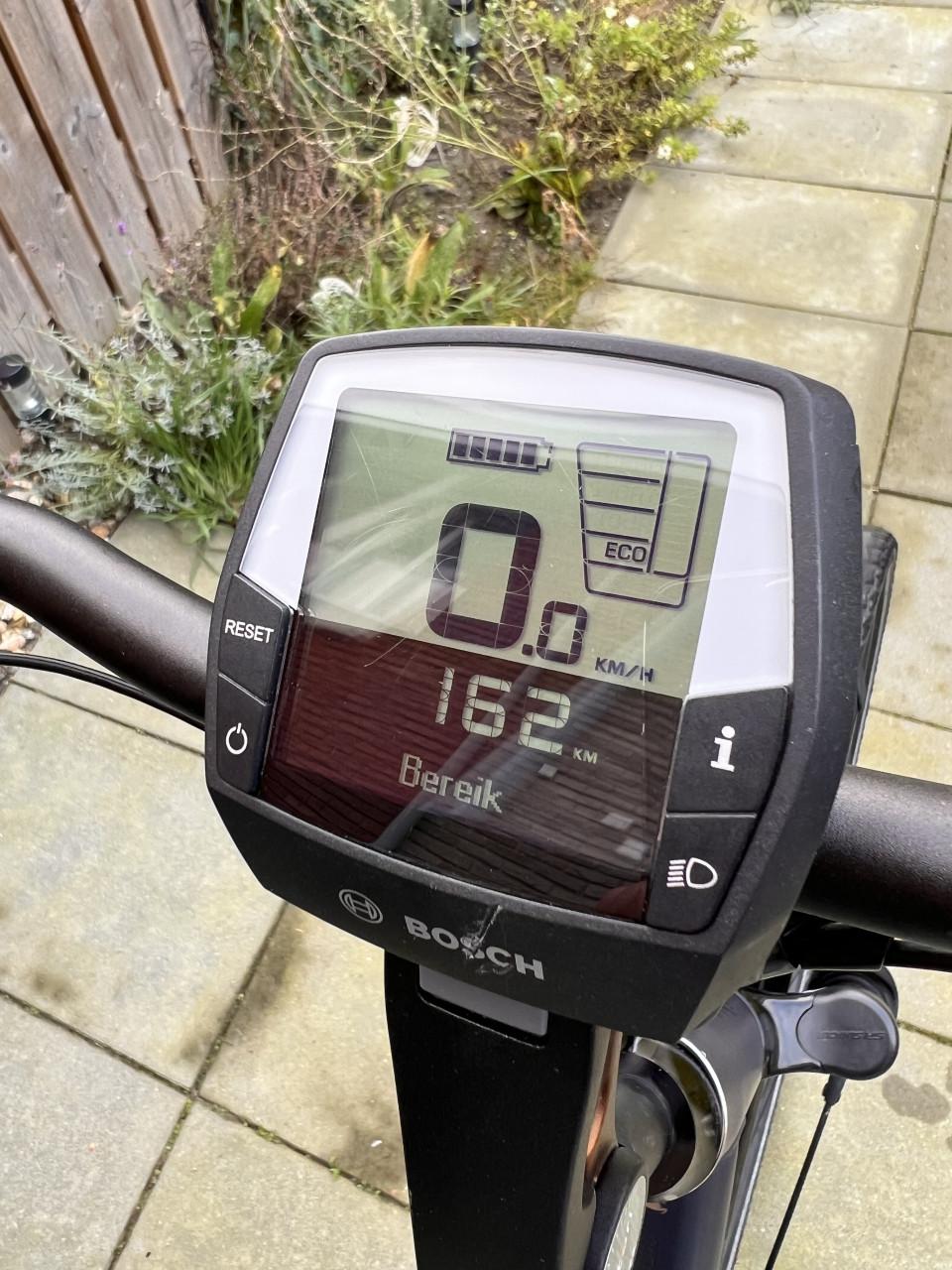 Pegasus Siena E7F Plus Belt