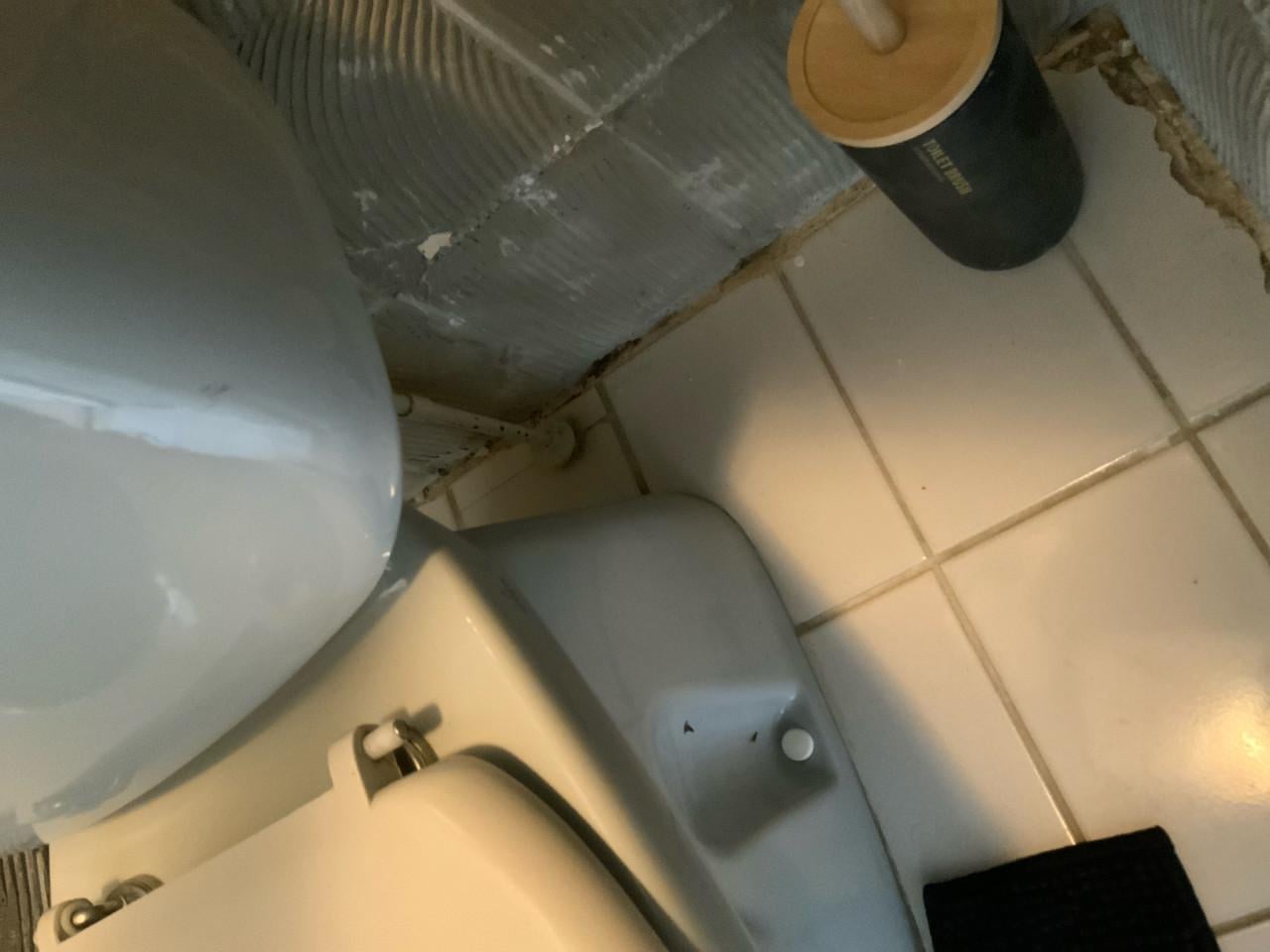 Gezocht klusjesman/klusjesvrouw