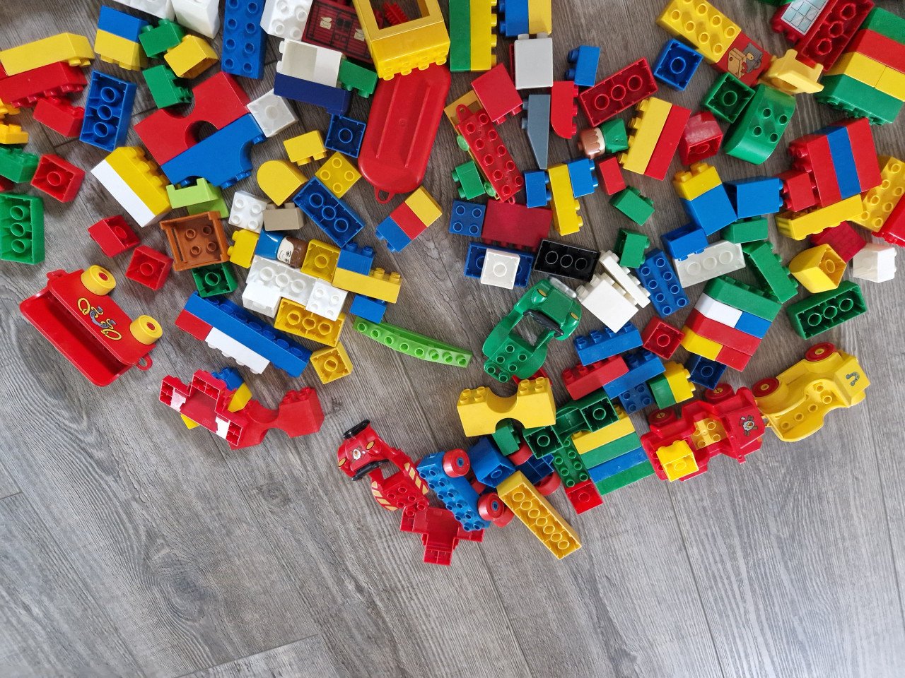 Bak duplo