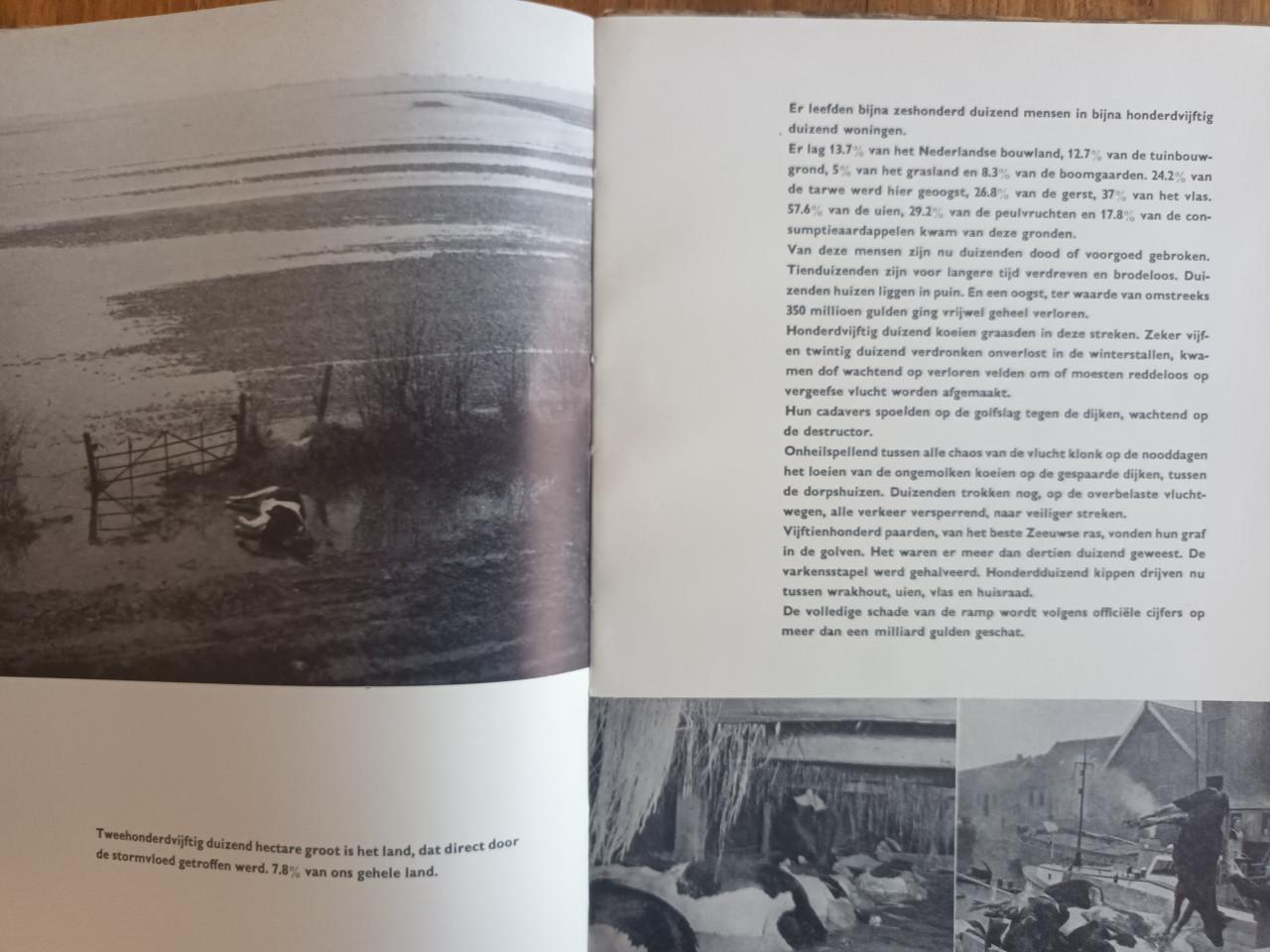De Ramp (1953) mét kaart en gratis extra boek