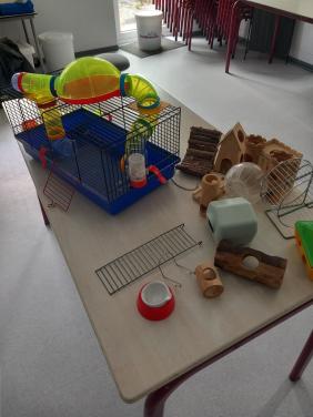 Hamster uitzet