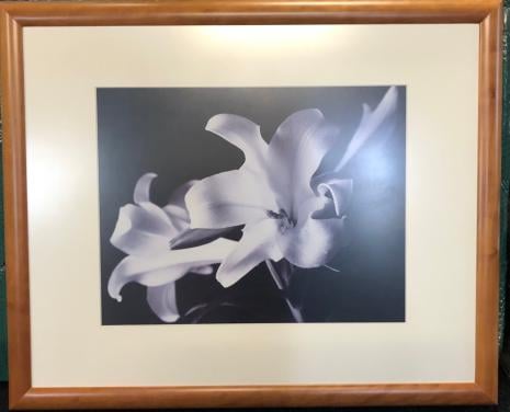 Wanddecoratie/schilderij Bermuda Lilies