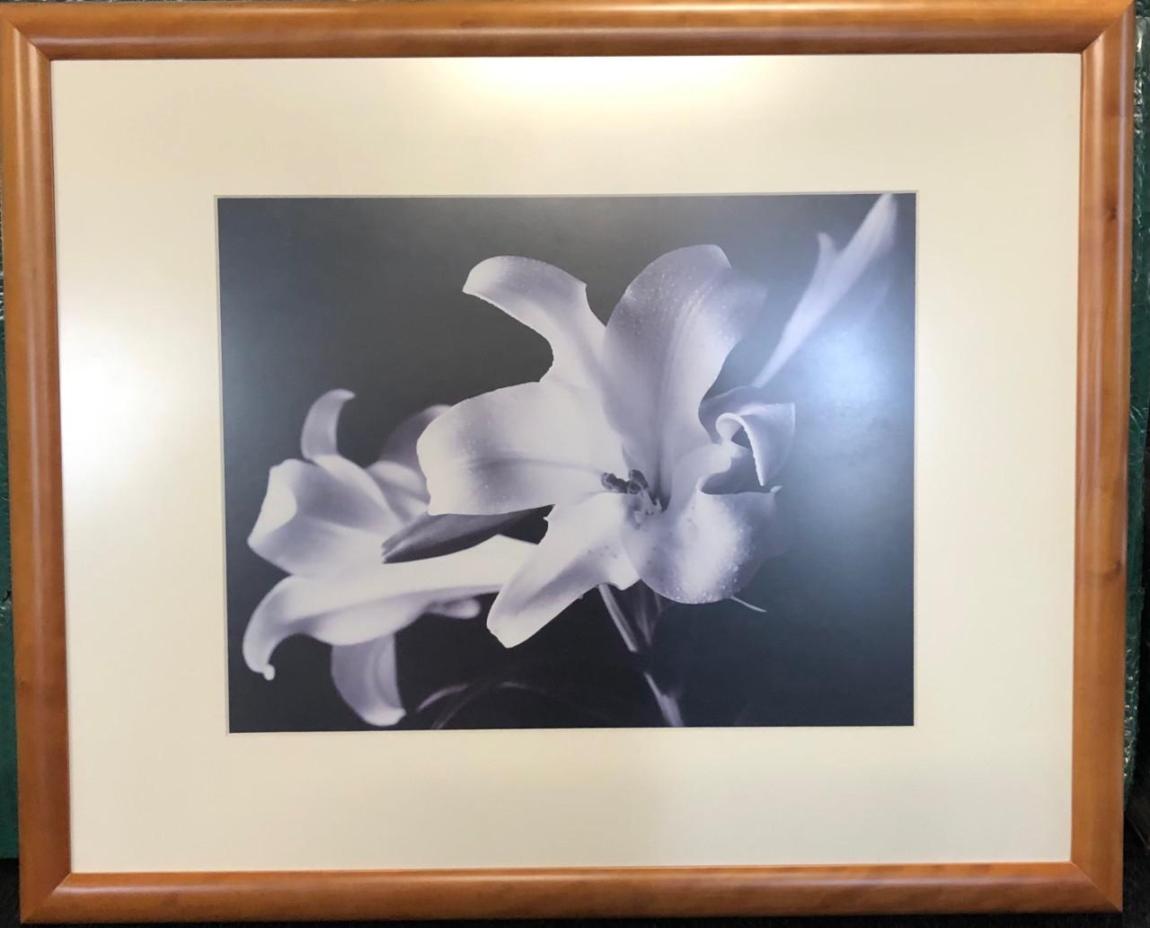 Wanddecoratie/schilderij Bermuda Lilies