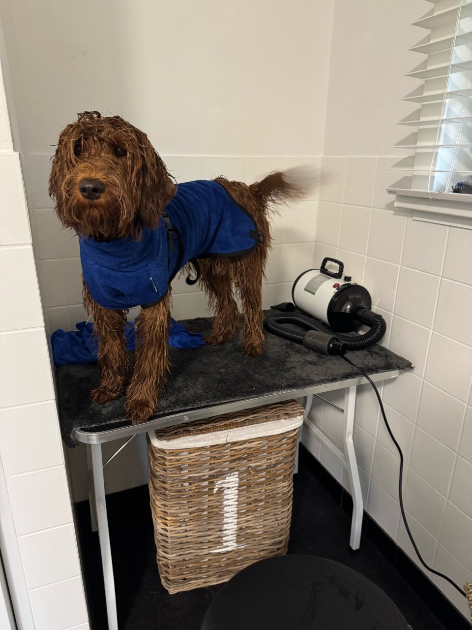 Luxe honden badjas