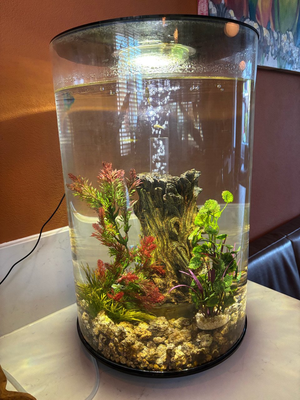 BiOrb Tube 30 MCR zwart Aquarium