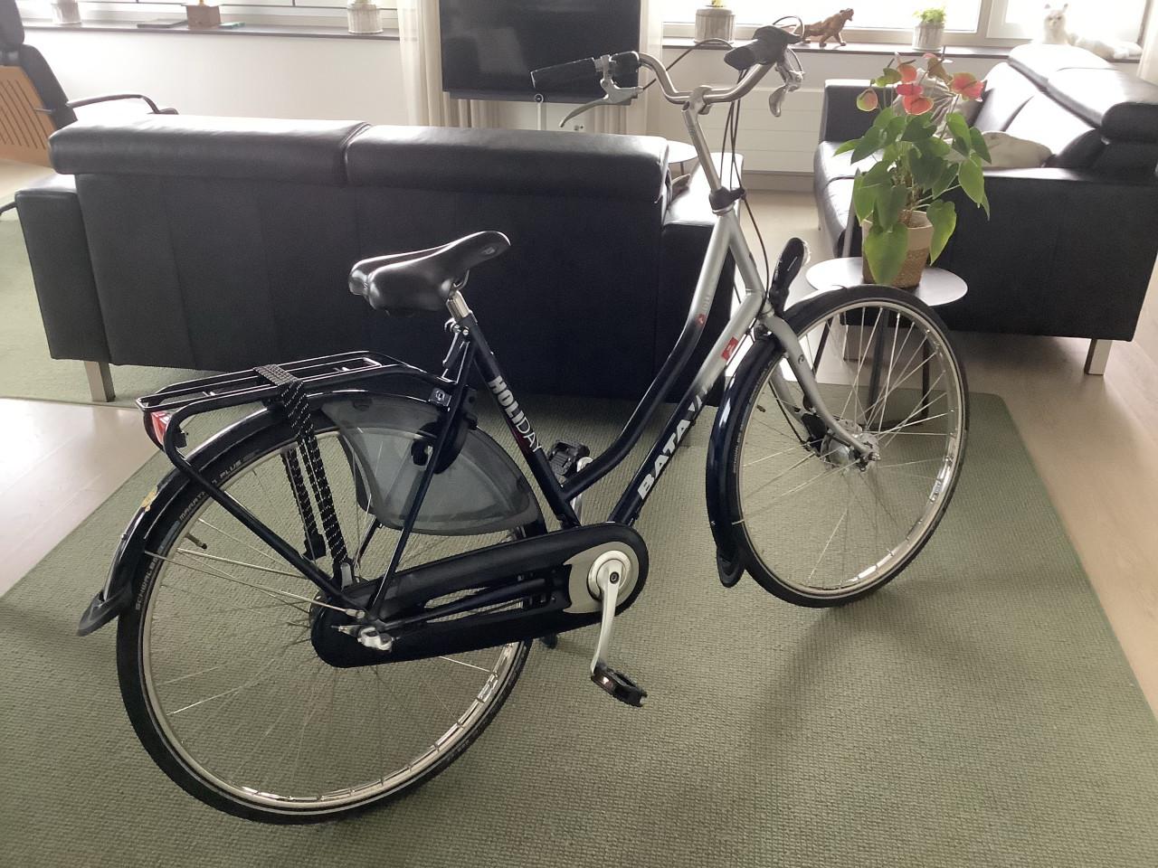 Keurige Batavus Holiday