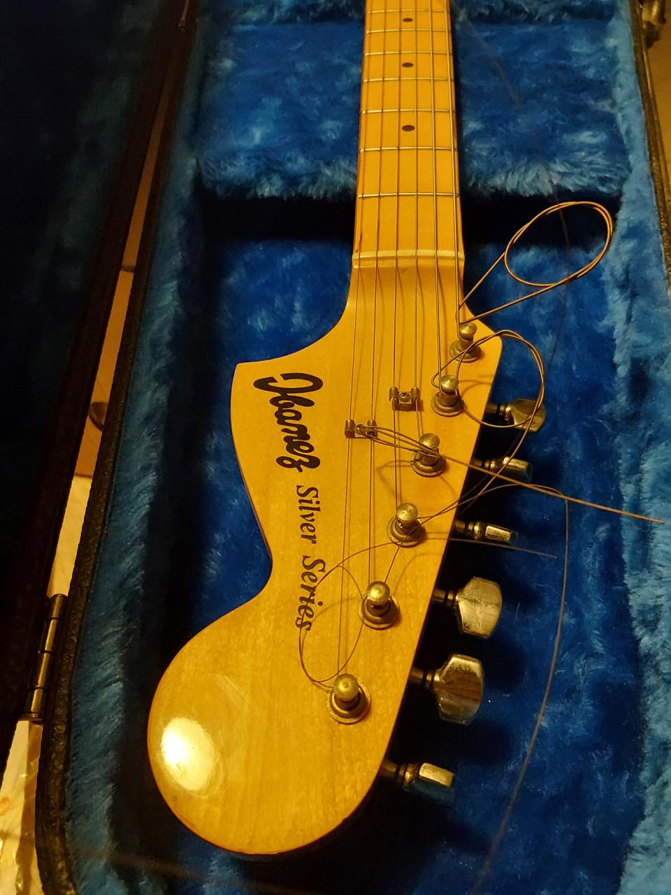 Elektrische gitaar