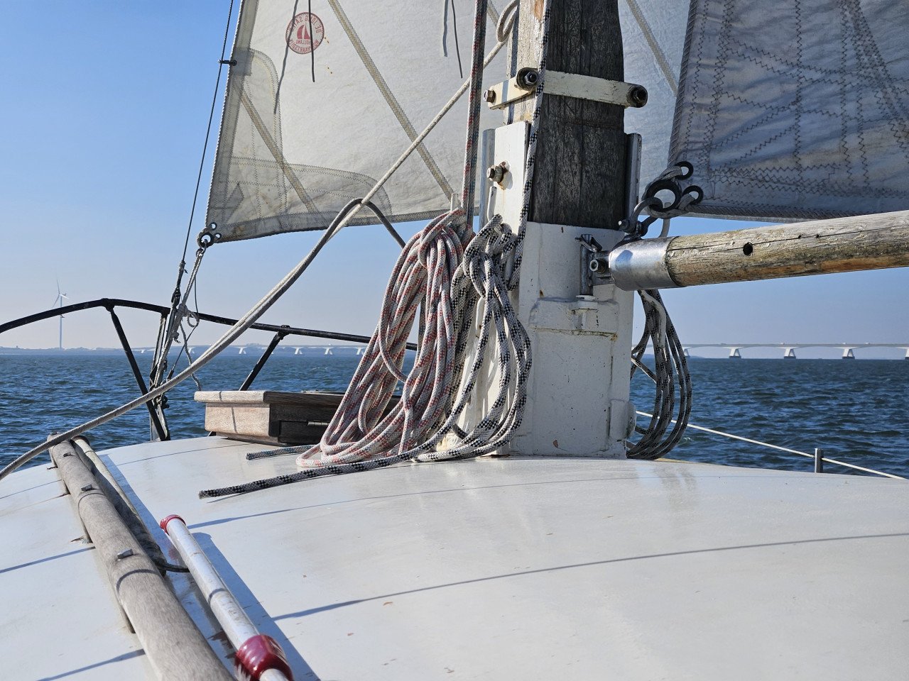 Baarda Zeegrundel