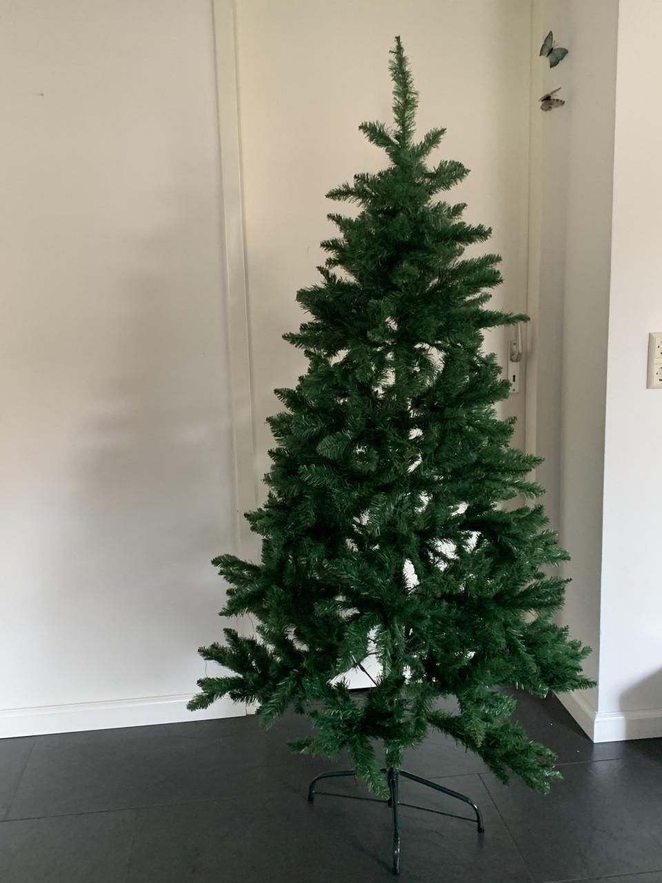 Kerstboom 1.85 m hoig