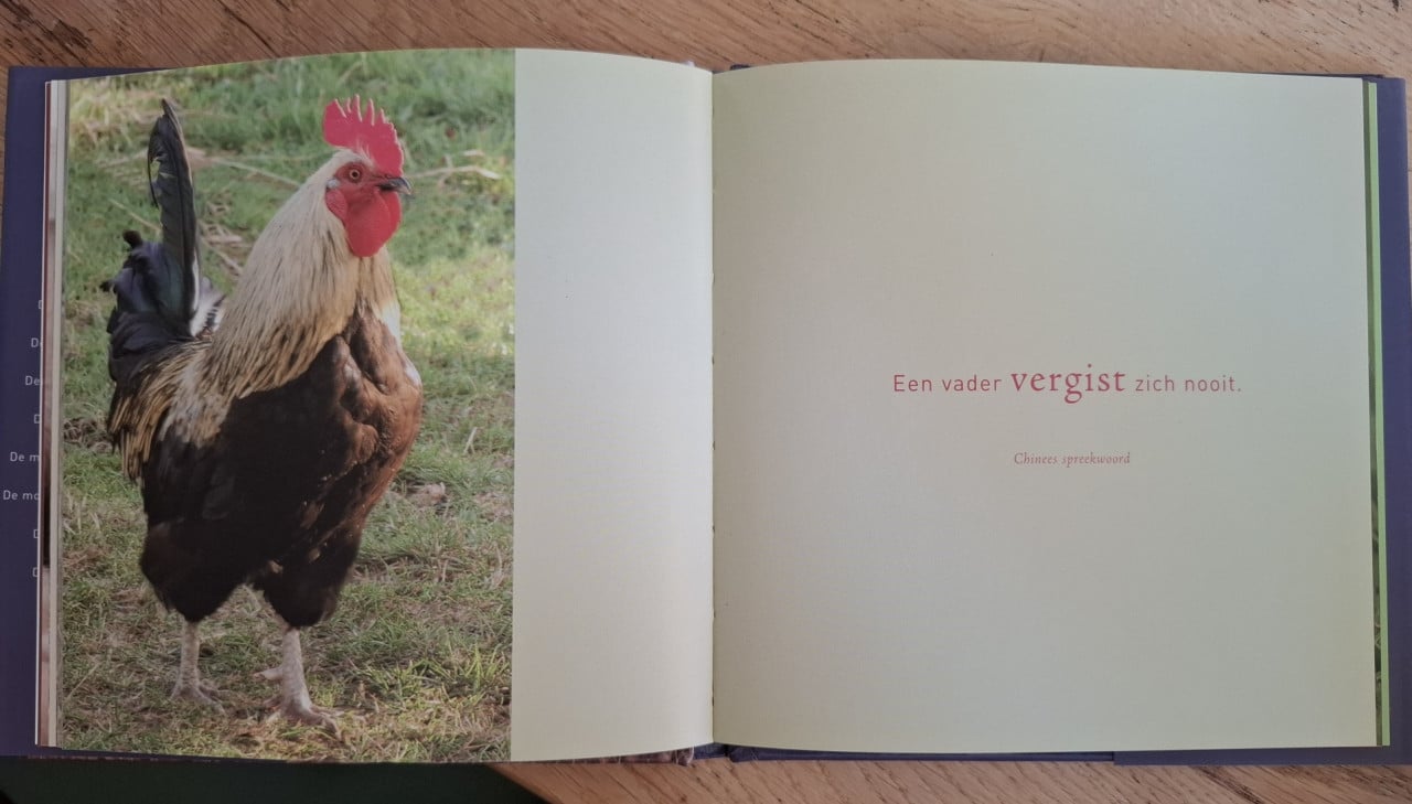 De mooiste uitspraken over vaders, verzameld door Gerd de Ley