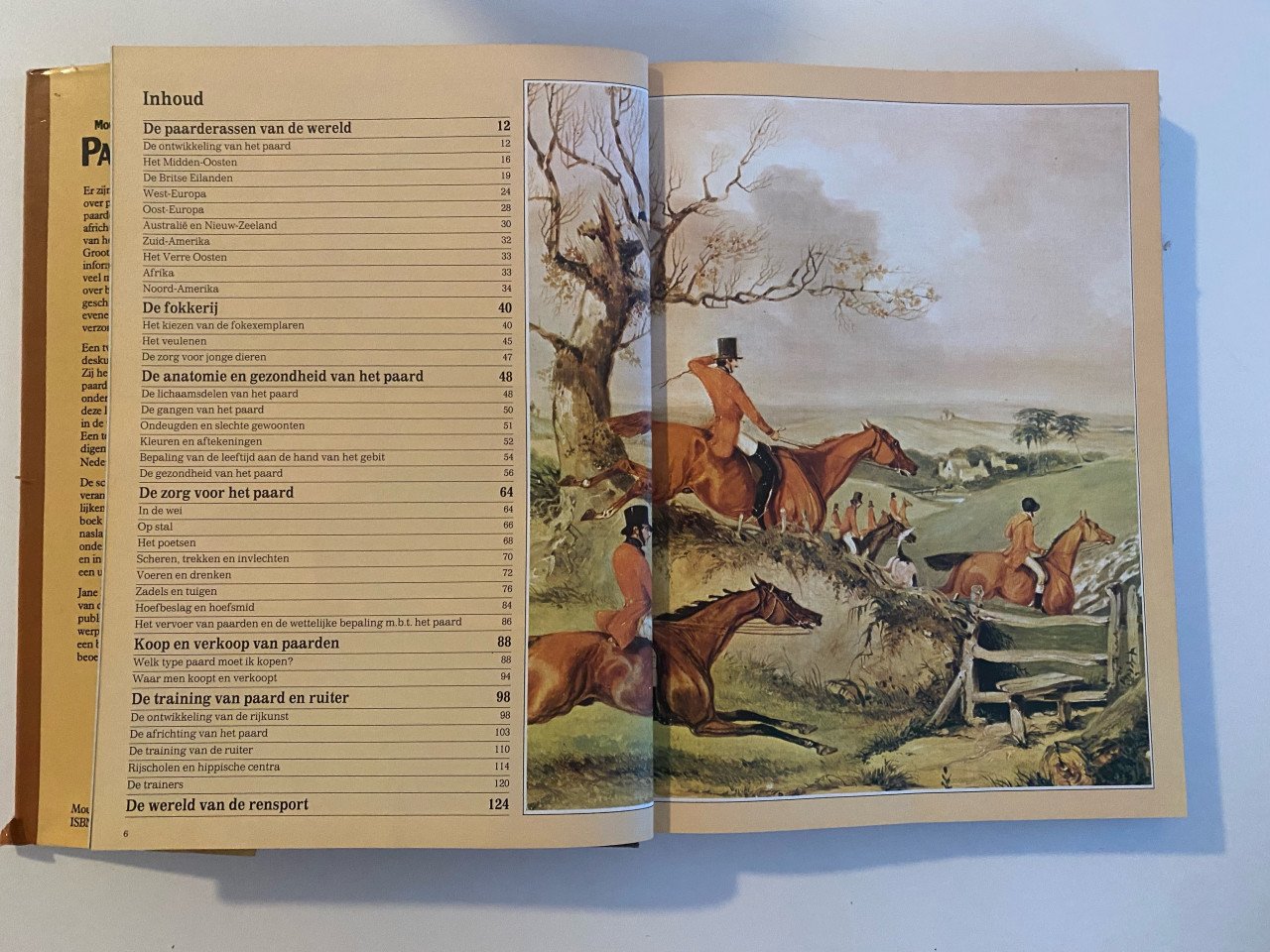 Paardenboek