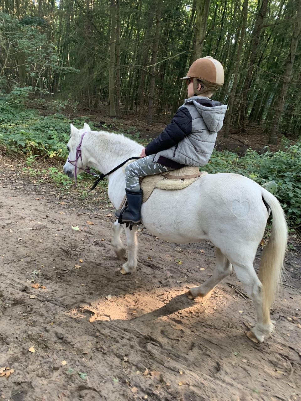 #Equi Pride# Grondwerk, rijden, gedrag, ESDr etc.