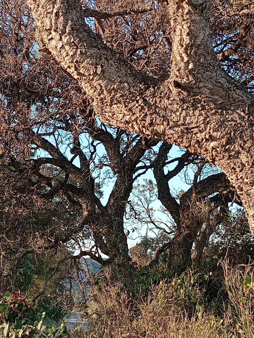 Tekenen en schilderen op Sardinië