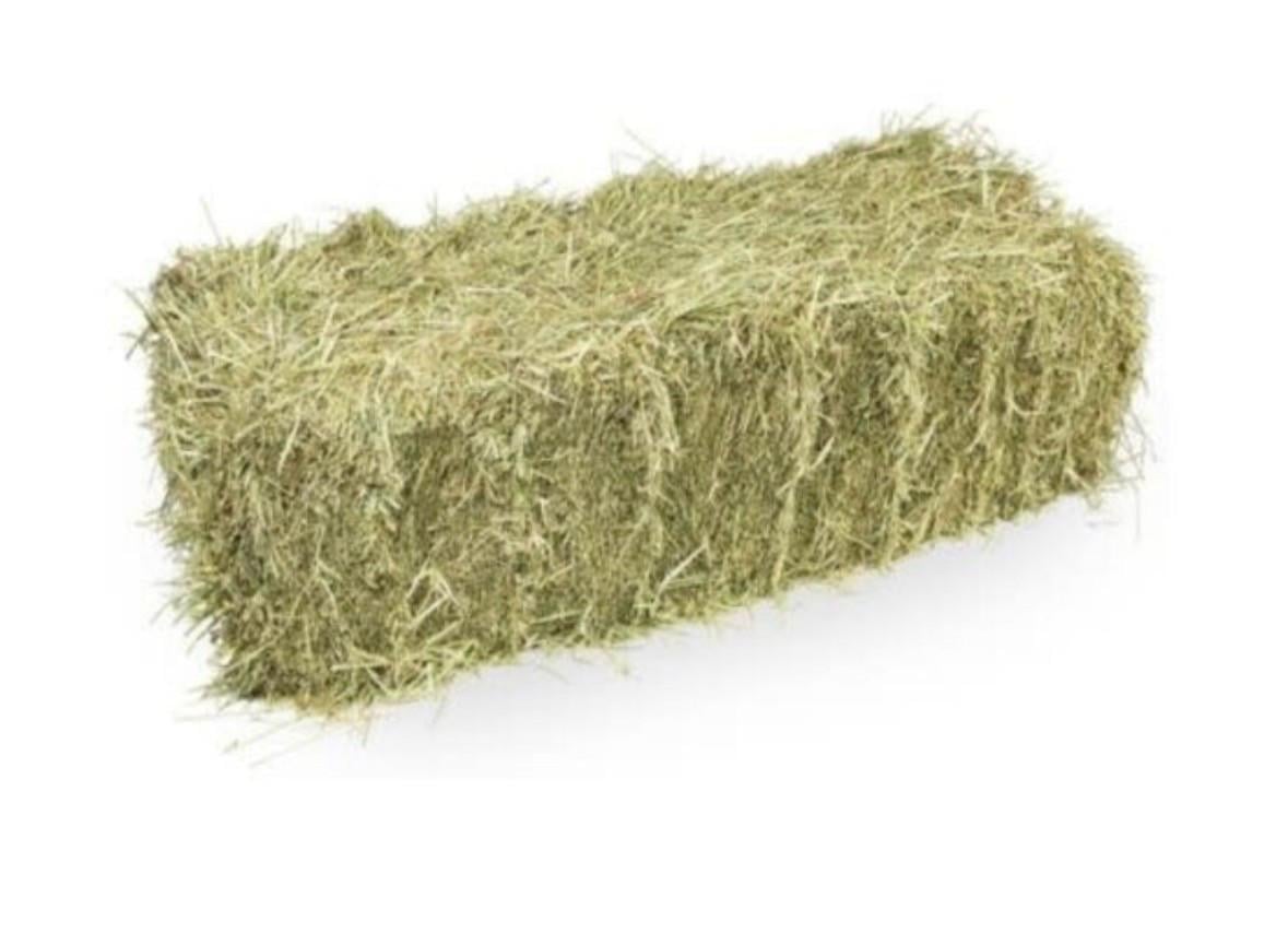 Suikergehalte in hooi testen