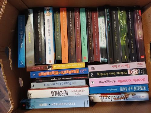 Allerlei (vakantie) leesboeken