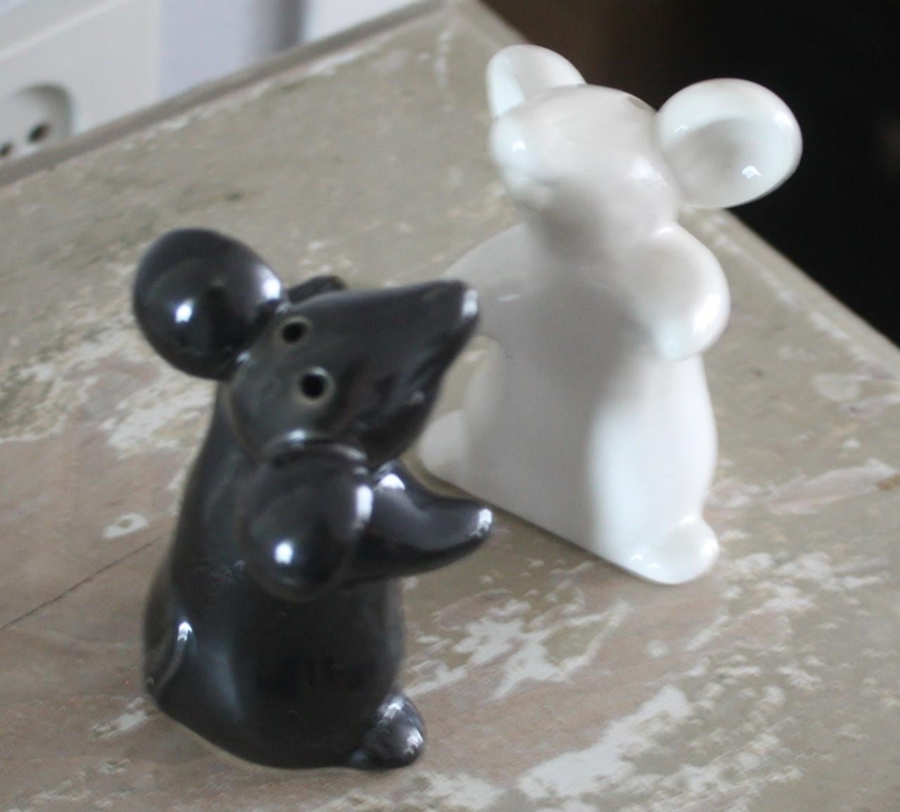 Peper en zout stel muizen zwart wit