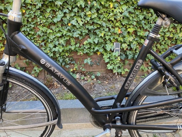 Damesfiets Batavus Mambo 7