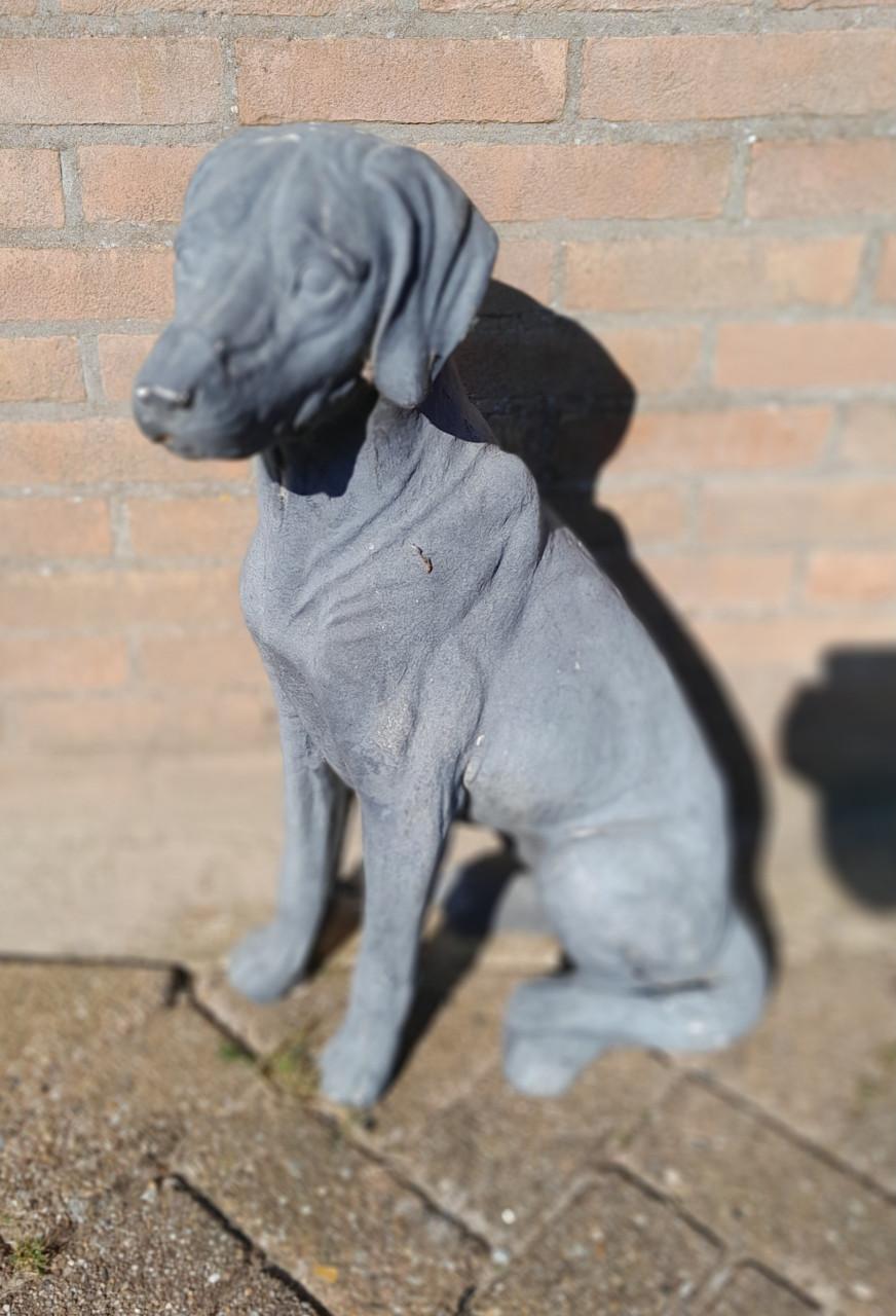 Beeld van  hond d.grijs ,weerbestendig