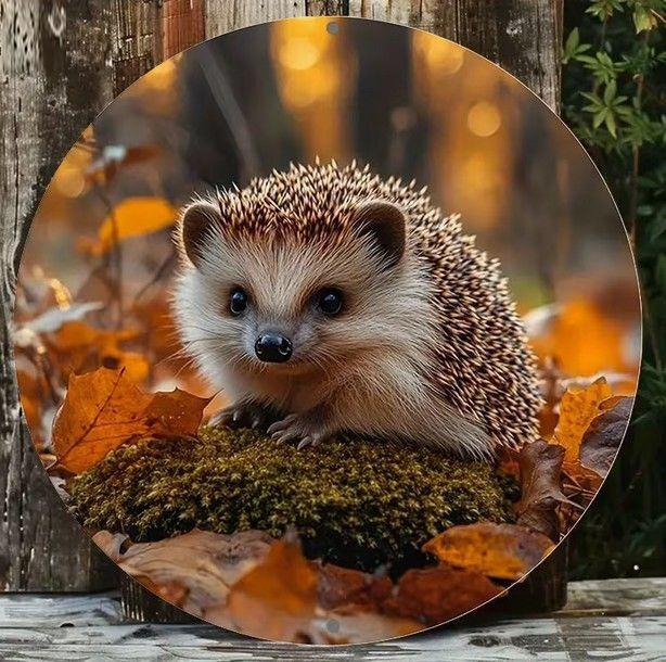 Egel ( metaal decoratie )