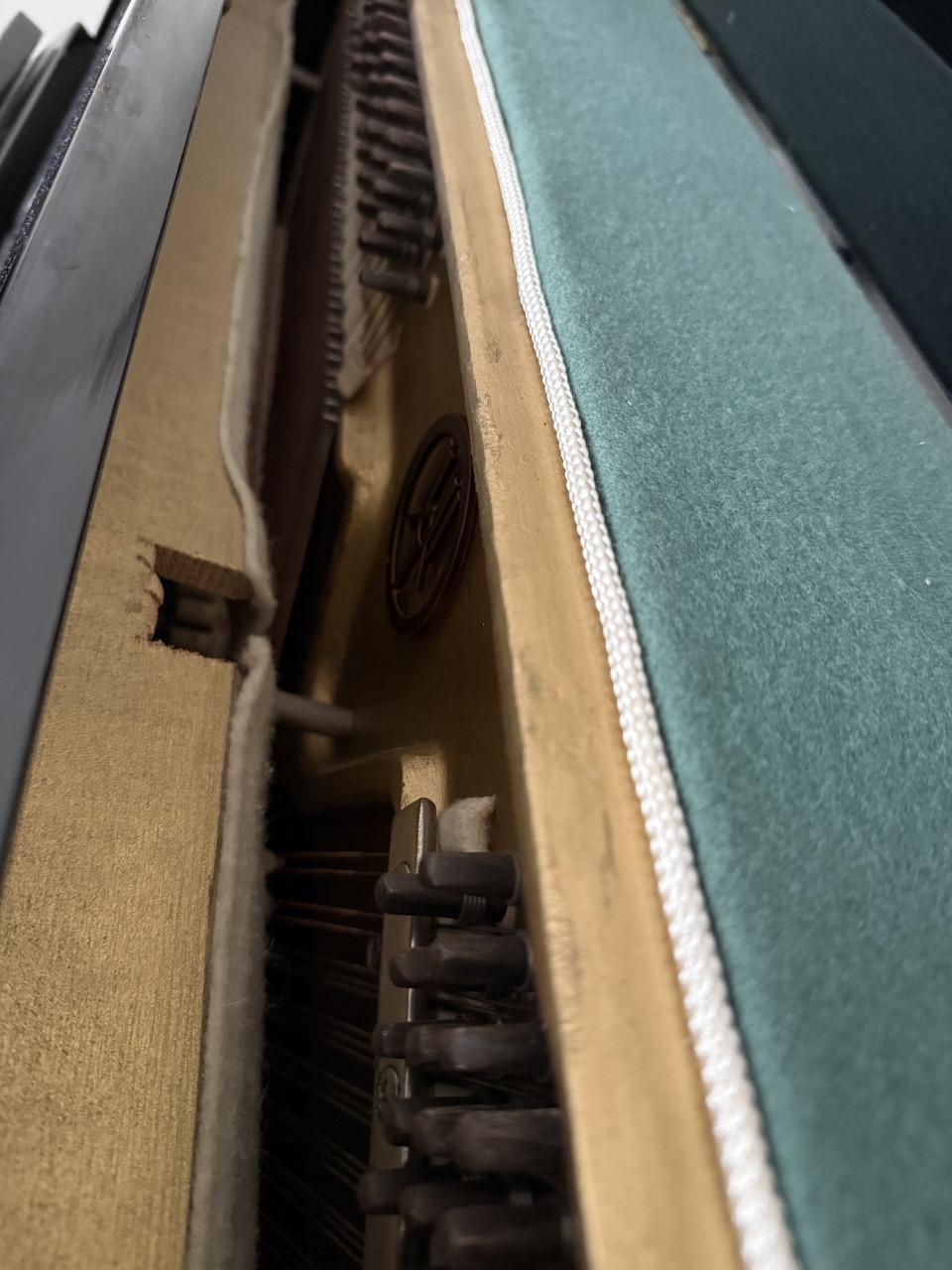 Neumann piano