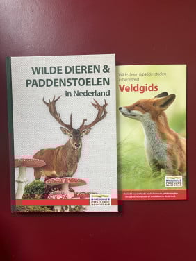 Wilde dieren en paddenstoelen in Nederland