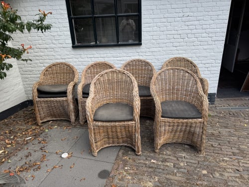 6 stoelen rotan riet landelijk
