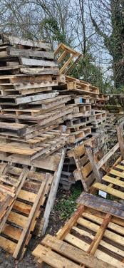 Pallets circa 70 stuks, Gratis ophalen!!