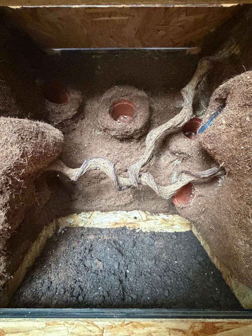 OSB terrarium