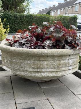 Vintage plantenschaal beton Ø 70cm