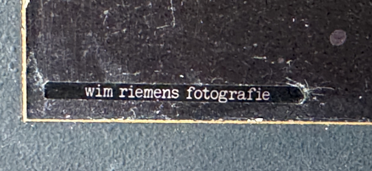 Mooi Foto van Riemens