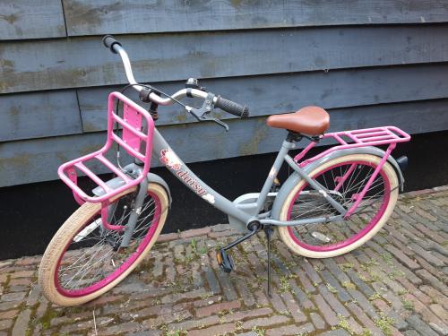 Leuke 22 inch meisjesfiets van Spirit