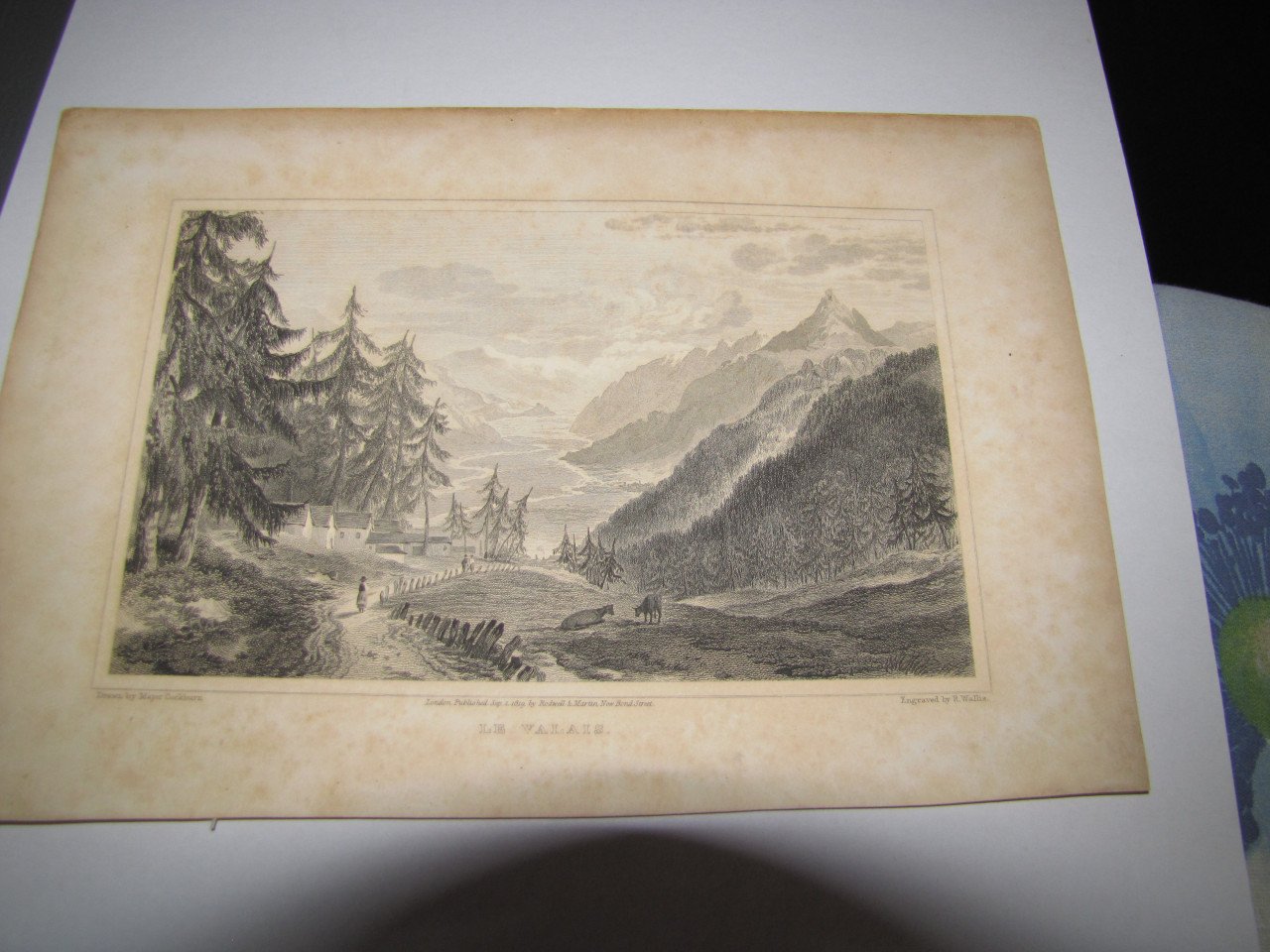 Diverse gravures van Scotland.