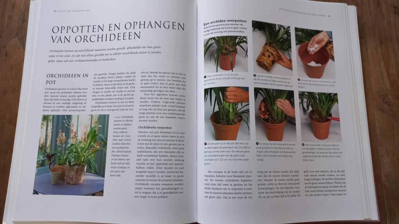Orchideeën boek