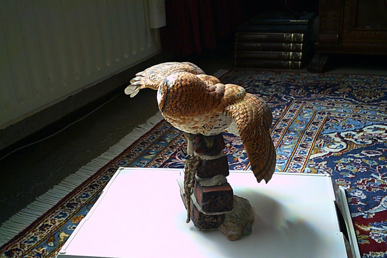 GROTE - porseleinen - UIL, zittend op oude deurpost ...