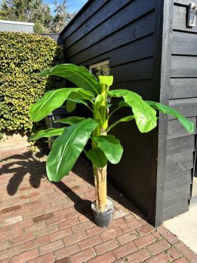Zo goed als nieuwe kunstplant 160 cm