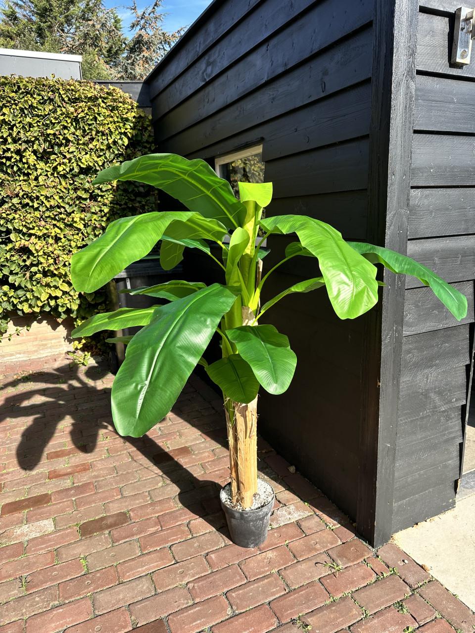 Zo goed als nieuwe kunstplant 160 cm