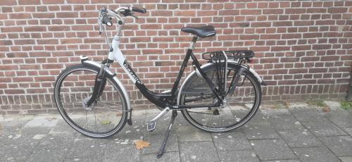 Gazelle Medeo