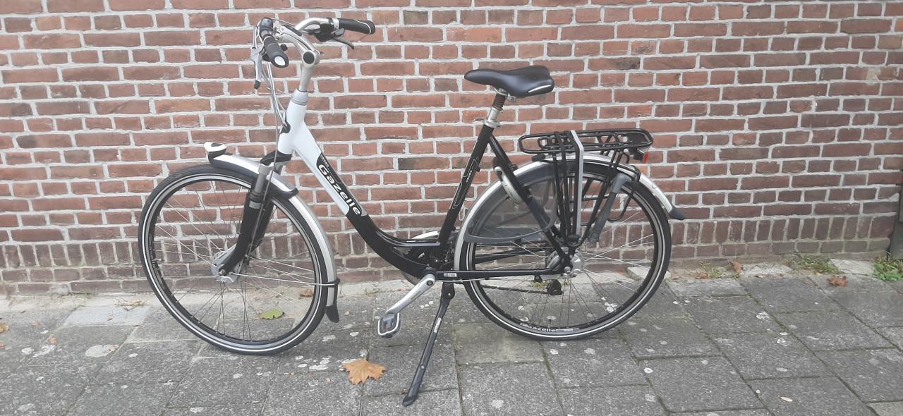 Gazelle Medeo
