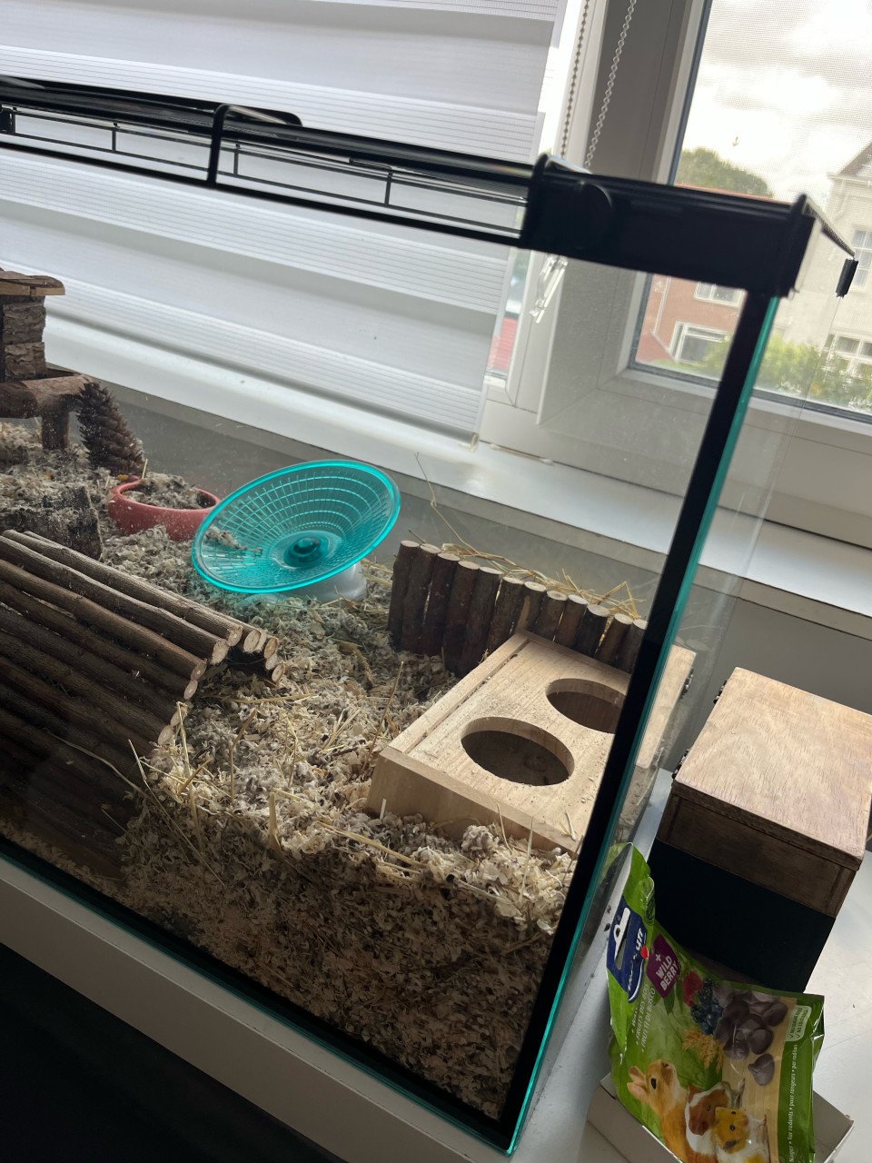 Terrarium glas