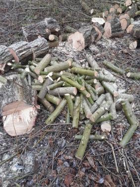 Brandhout diverse soorten. VERS GEZAAGD.