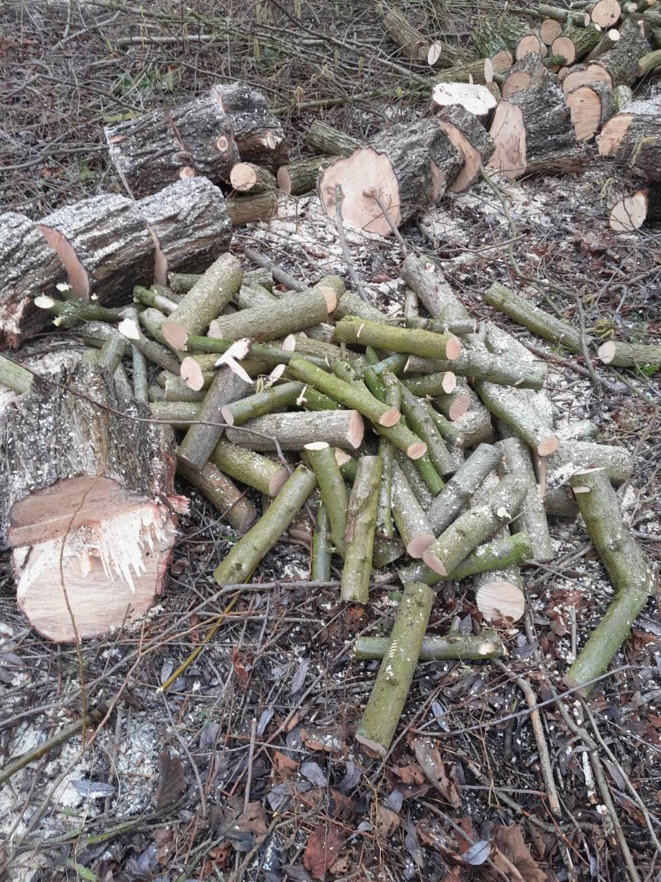Brandhout diverse soorten. VERS GEZAAGD.