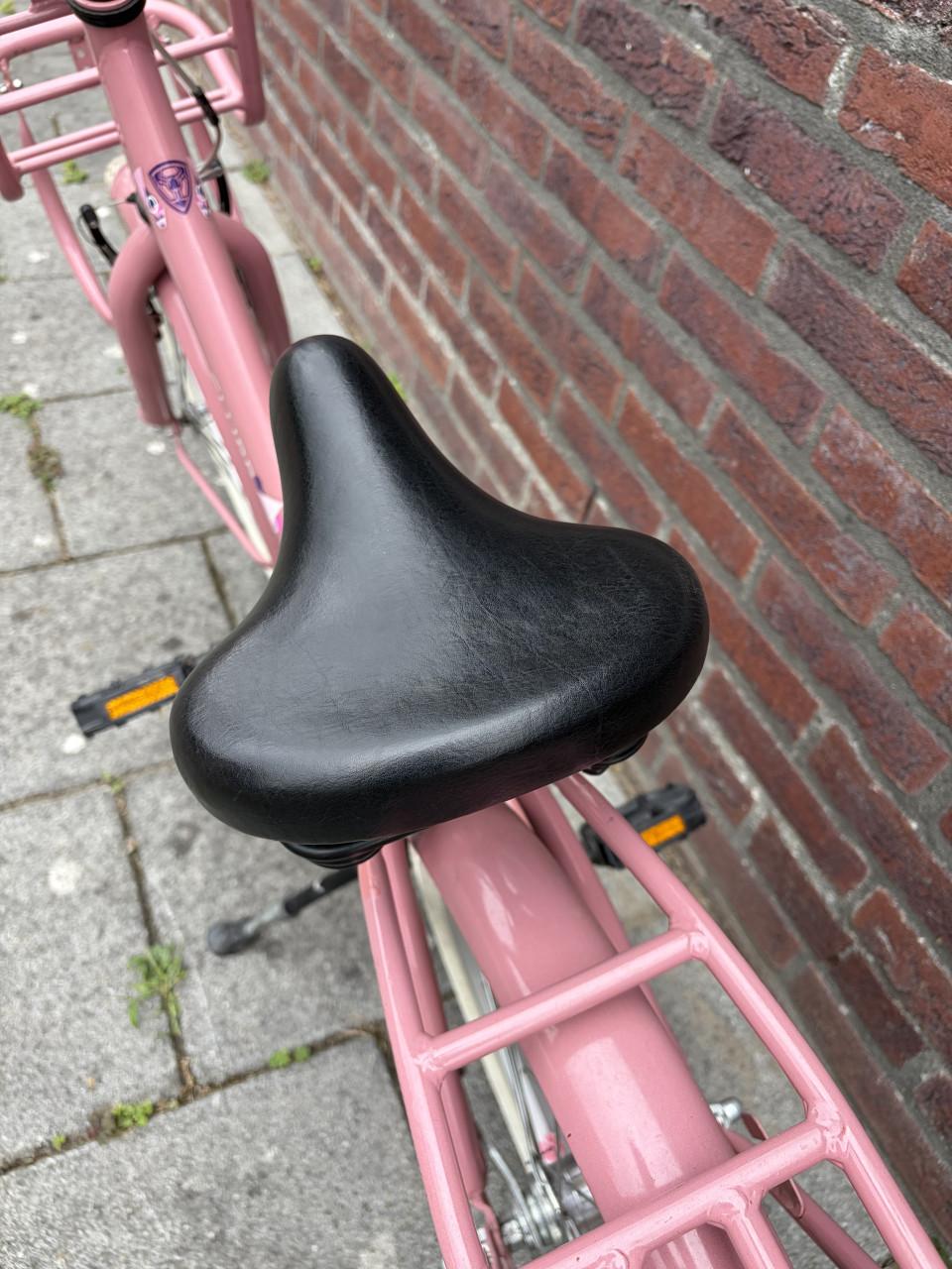 Roze meisjesfiets Alpina Clubb 16 inch